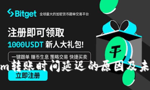 探讨Tokenim转账时间延迟的原因及未来发展趋势