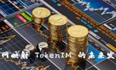 BTM主网映射 TokenIM 的未来发展趋势