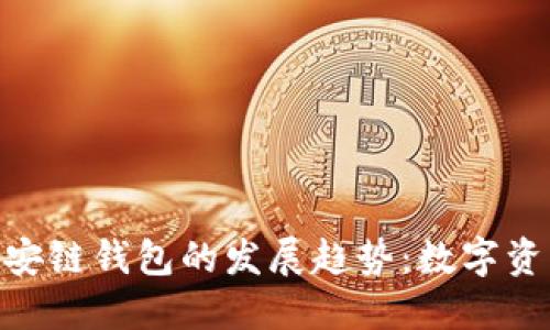 未来Tokenim币安链钱包的发展趋势：数字资产管理的新机遇