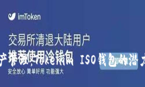 未来数字资产管理：Tokenim ISO钱包的潜力与发展趋势