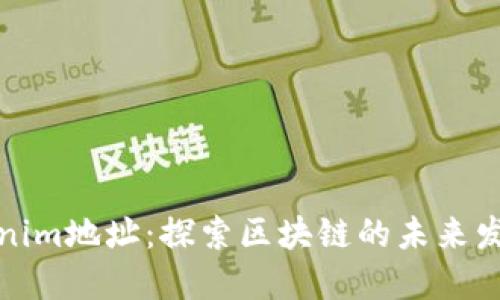 解密Tokenim地址：探索区块链的未来发展与趋势