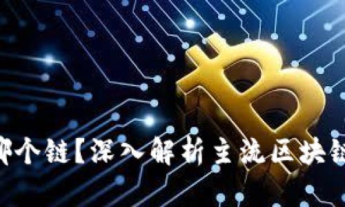 Tokenim钱包提币选哪个链？深入解析主流区块链的优缺点与未来趋势