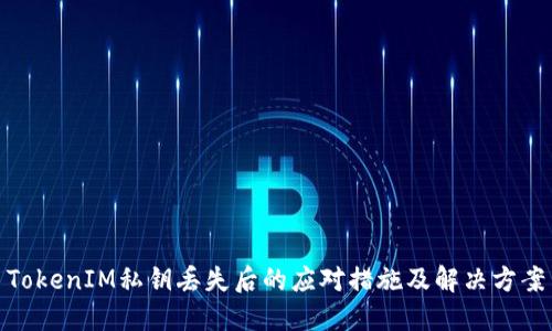 TokenIM私钥丢失后的应对措施及解决方案