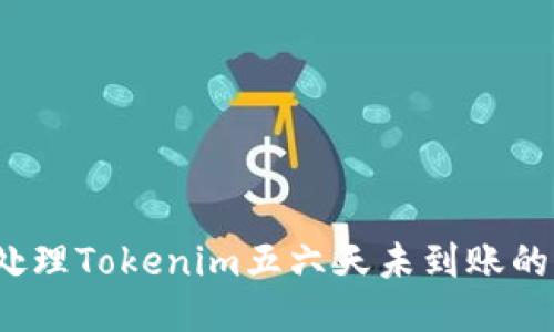 如何处理Tokenim五六天未到账的问题？