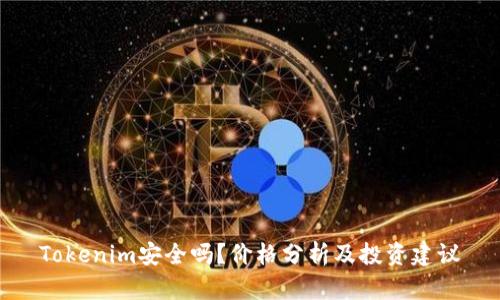 Tokenim安全吗？价格分析及投资建议