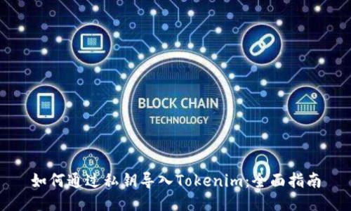 如何通过私钥导入Tokenim：全面指南