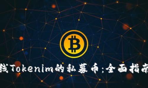 如何成功上线Tokenim的私募币：全面指南与实施策略