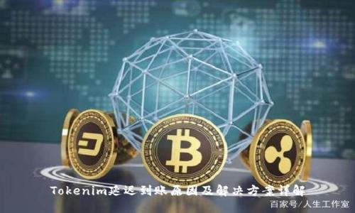 Tokenim延迟到账原因及解决方案详解