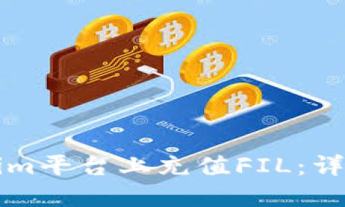 如何在Tokenim平台上充值FIL：详细步骤与指南