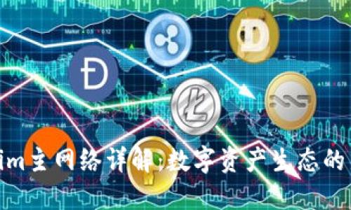 Tokenim主网络详解：数字资产生态的新机遇