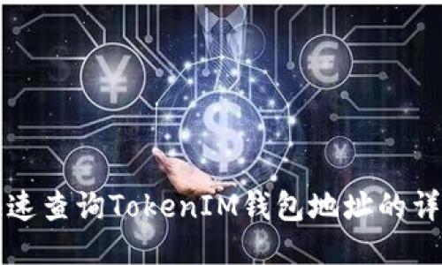 如何快速查询TokenIM钱包地址的详细指南
