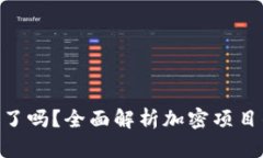 Tokenim跑路了吗？全面解析加密项目的风险与未来