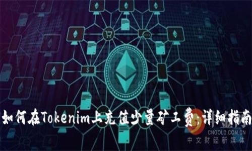 如何在Tokenim上充值少量矿工费：详细指南
