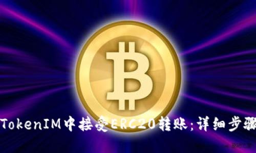 如何在TokenIM中接受ERC20转账：详细步骤与指南