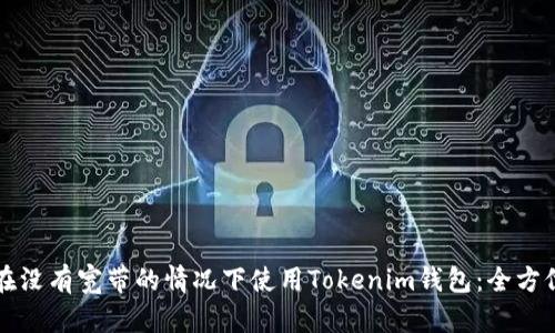如何在没有宽带的情况下使用Tokenim钱包：全方位指南