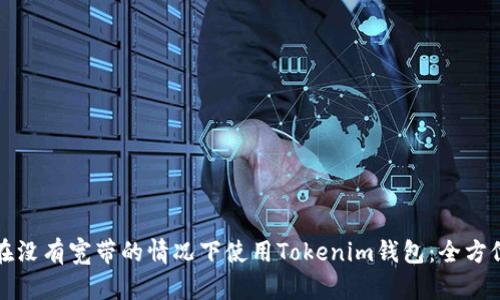 如何在没有宽带的情况下使用Tokenim钱包：全方位指南