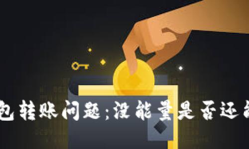Tokenim钱包转账问题：没能量是否还能进行转账？