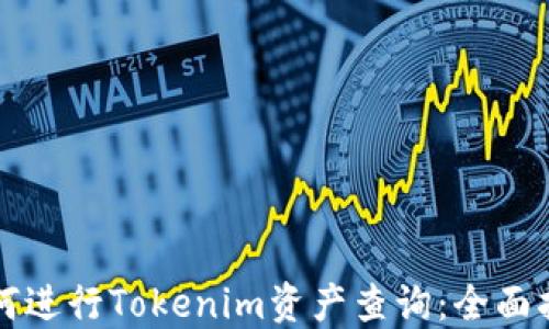 
如何进行Tokenim资产查询：全面指南