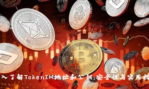 深入了解TokenIM地址和公钥：安全性与实用指南