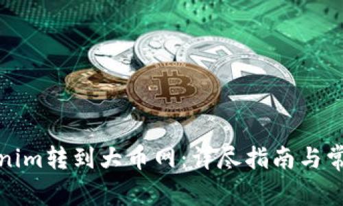 如何将Tokenim转到大币网：详尽指南与常见问题解答
