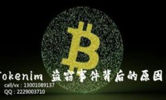 深入解析：Tokenim 盗窃事件背后的原因与防范措施