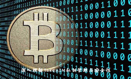 深入理解TokenIM私钥管理与安全性