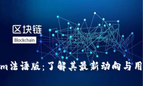 Tokenim法语版：了解其最新动向与用户体验