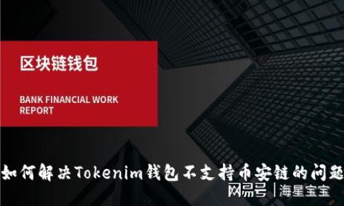 如何解决Tokenim钱包不支持币安链的问题
