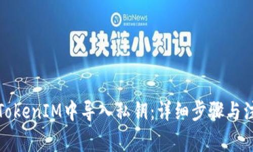 如何在TokenIM中导入私钥：详细步骤与注意事项