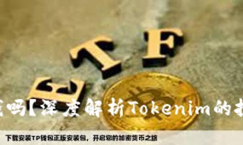 Tokenim能赚钱吗？深度解析Tokenim的投资价值与风险