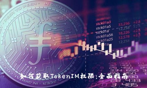 如何获取TokenIM权限：全面指南