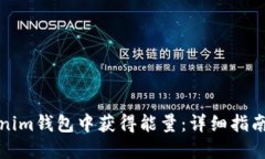 如何在Tokenim钱包中获得能量：详细指南与实用技