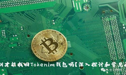 只有私钥才能找回Tokenim钱包吗？深入探讨和常见问题解答
