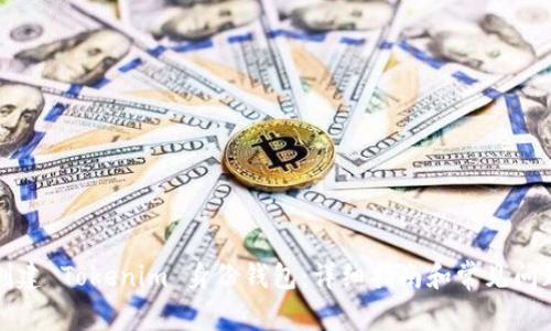 如何创建 Tokenim 身份钱包：详细指南和常见问题解答