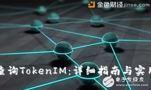 如何查询TokenIM：详细指南与实用技巧