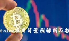 2021年Tokenim项目背景图解析及投资前景分析