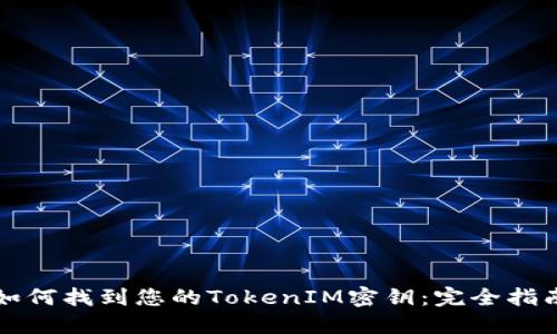 如何找到您的TokenIM密钥：完全指南