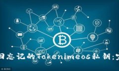 如何找回忘记的Tokenimeos私钥：完整指南