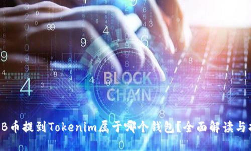 SHIB币提到Tokenim属于哪个钱包？全面解读与指南