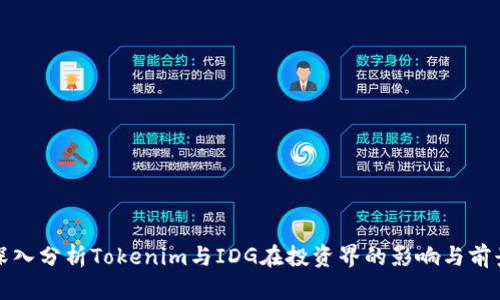 深入分析Tokenim与IDG在投资界的影响与前景