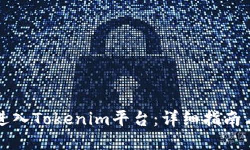 如何成功进入Tokenim平台：详细指南与经验分享