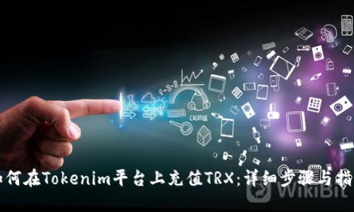 如何在Tokenim平台上充值TRX：详细步骤与指南