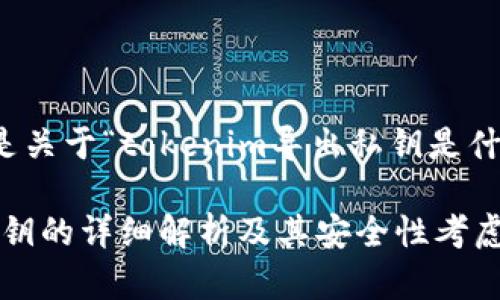 当然可以！以下是关于“tokenim导出私钥是什么意思”的内容。

Tokenim导出私钥的详细解析及其安全性考虑