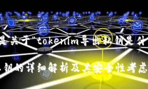 当然可以！以下是关于“tokenim导出私钥是什么意思”的内容。

Tokenim导出私钥的详细解析及其安全性考虑
