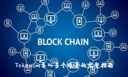 Tokenim导入多个账号的完整指南