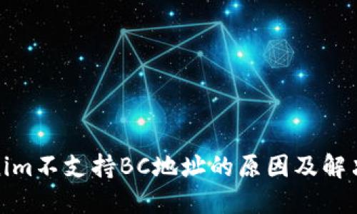 Tokenim不支持BC地址的原因及解决方案
