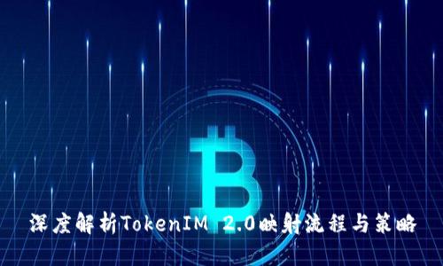 深度解析TokenIM 2.0映射流程与策略